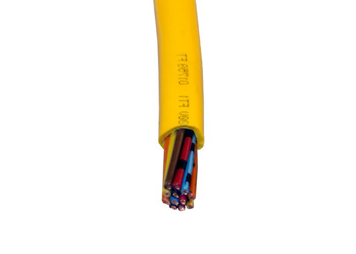 Pendant Cable Without Strain Relief, 16 AWG / 24 Conductors